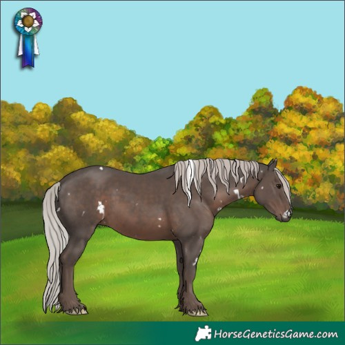 Horse Color:White Spotted Silver Black 