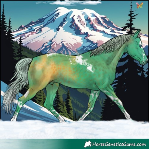 Horse Color:Watercolor Silver Brown Splash Tobiano