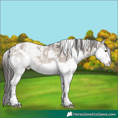 Horse Color:Powder White White Spotted Brown Dun Splash Snowflake Varnish 