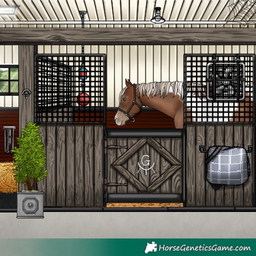 Horse Color:Gray Silver Black Pearl Tobiano