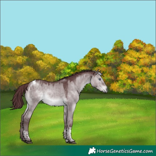 Horse Color:Chocolate Brown Chinchilla Dun Tobiano 