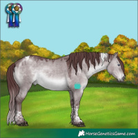 Horse Color:Chocolate Brown Chinchilla Dun Tobiano 