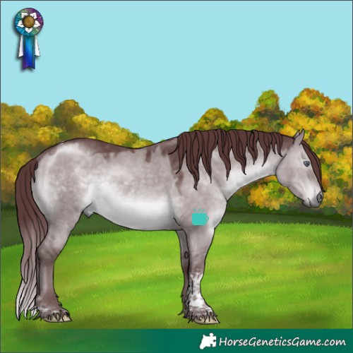 Horse Color:Chocolate Brown Chinchilla Dun Tobiano