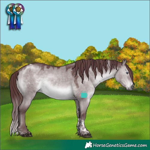 Horse Color:Chocolate Brown Chinchilla Dun Tobiano