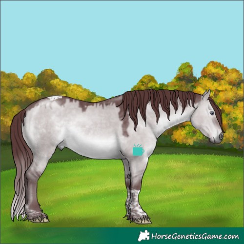 Horse Color:Chocolate Brown Chinchilla Dun Tobiano