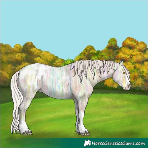 Horse Color:Silver Classic Champagne Ice Dun Splash Tobiano Appaloosa 
