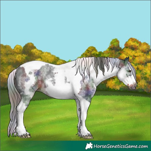 Horse Color:Nacre White Spotted Liver Chestnut Splash Tobiano Frame Rabicano 