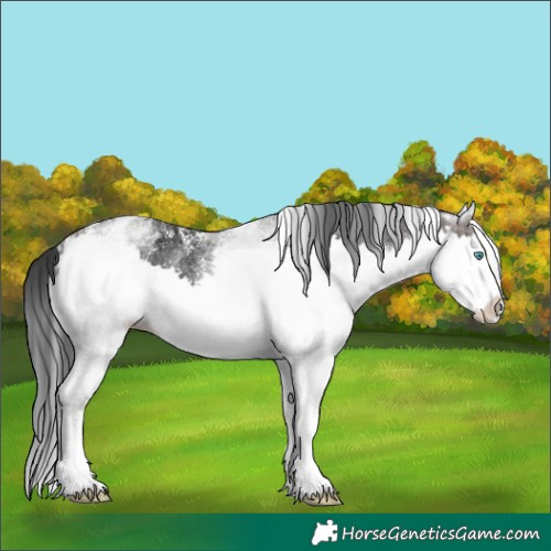 Horse Color:Powder White White Spotted Brown Splash 