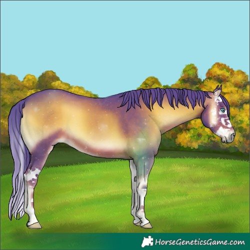 Horse Color:Watercolor Liver Red Onyx Sabino Splash 