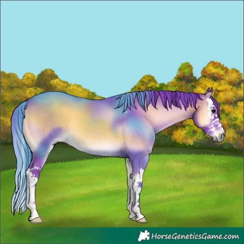 Horse Color:Watercolor Smoky Blue Onyx Splash