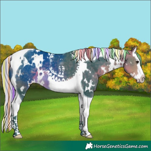 Horse Color:Painted Watercolor White Spotted Silver Buckskin Splash Tobiano 