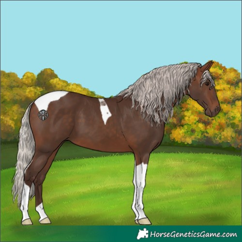 Horse Color:Silver Bay Tobiano