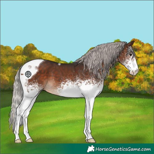 Horse Color:White Spotted Silver Brown Tobiano