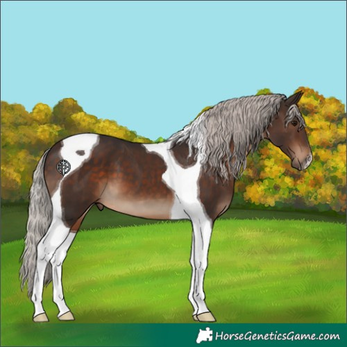 Horse Color:Silver Brown Tobiano