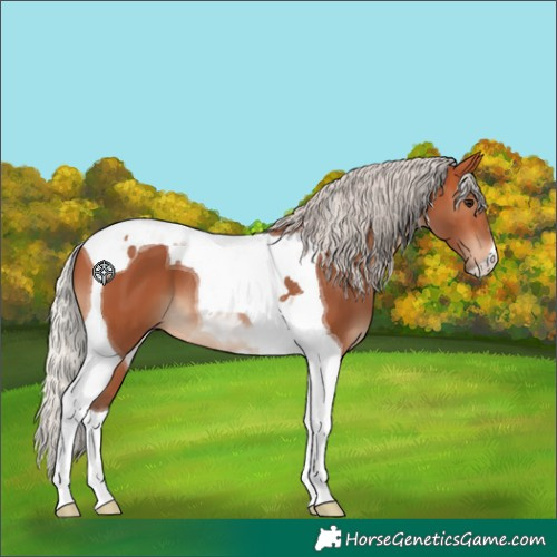 Horse Color:Silver Bay Tobiano