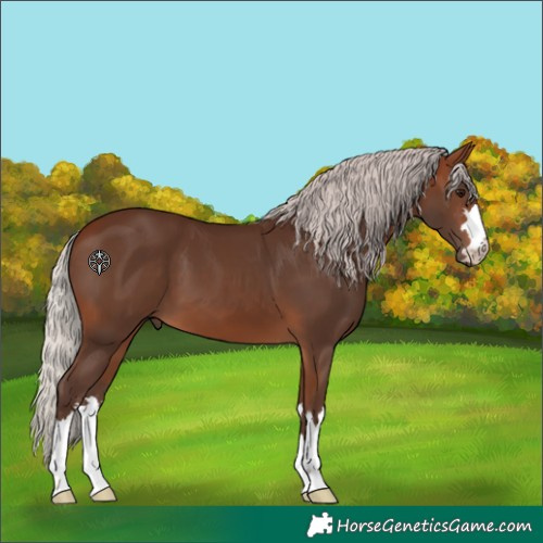 Horse Color:Silver Bay 