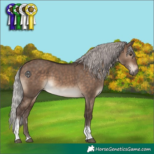 Horse Color:Silver Brown Dun Tobiano Rabicano 
