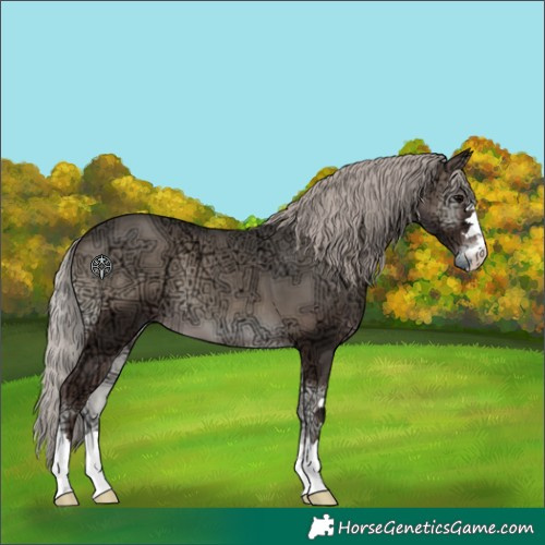 Horse Color:Silver Blue Onyx Ice 