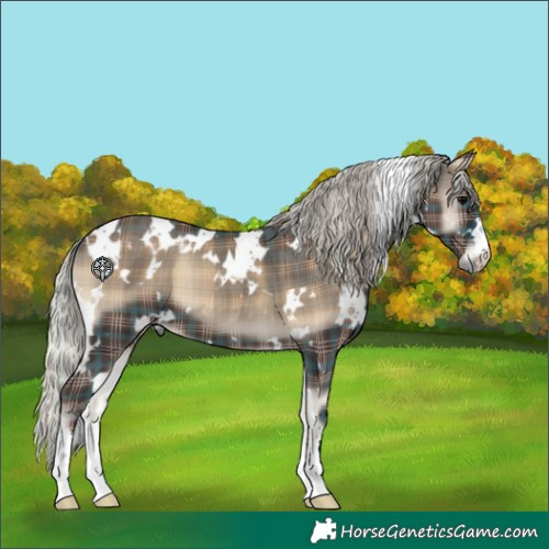 Horse Color:Plaid White Spotted Silver Blue Onyx
