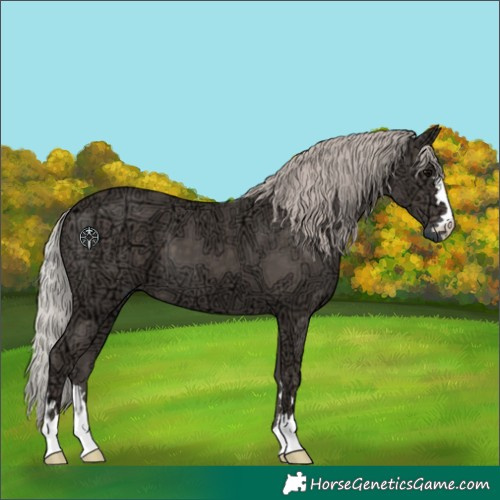 Horse Color:Silver Black Ice 