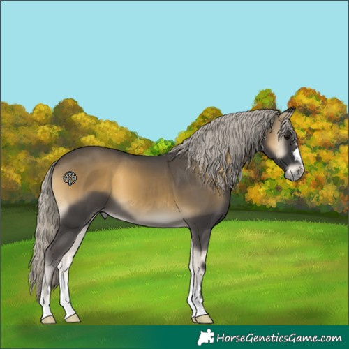 Horse Color:Silver Smoky Blue Onyx 