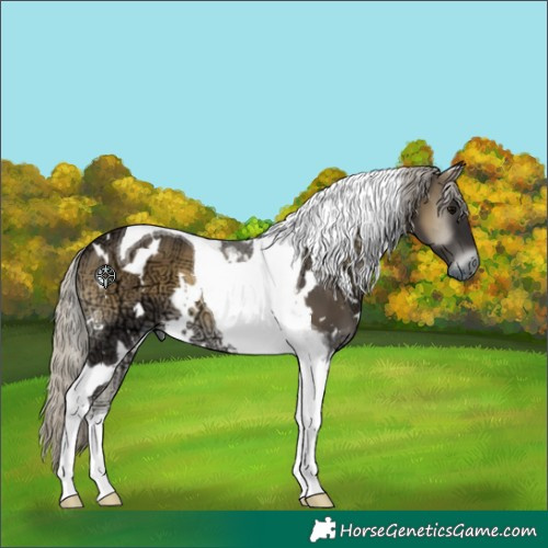 Horse Color:White Spotted Silver Smoky Blue Onyx Ice Tobiano 