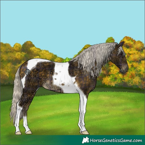 Horse Color:Plaid Silver Buckskin Ice Tobiano