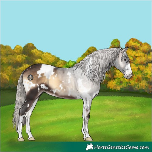 Horse Color:White Spotted Silver Brown Onyx