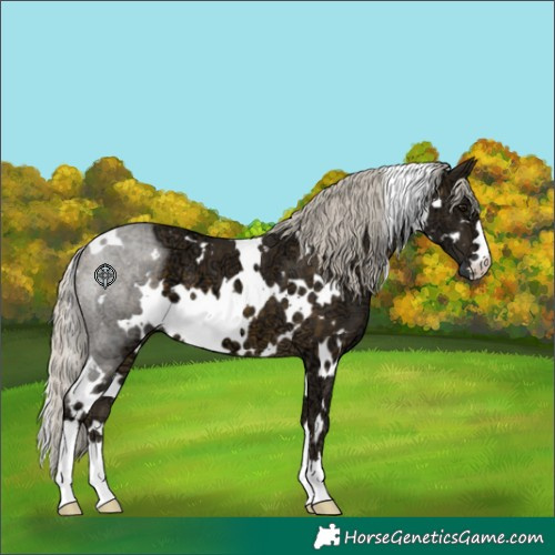 Horse Color:White Spotted Silver Buckskin Ice