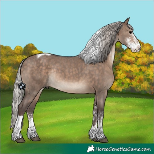 Horse Color:Silver Brown Dun Sabino Tobiano Rabicano 