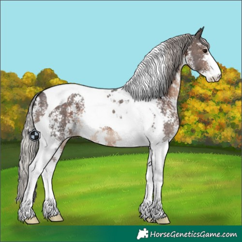 Horse Color:Silver Brown Sabino Tobiano
