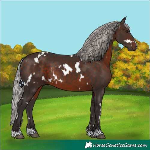Horse Color:White Spotted Silver Brown Rabicano 