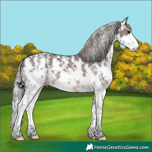 Horse Color:Silver Black Sabino