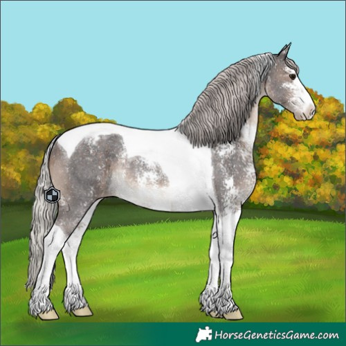 Horse Color:Silver Brown Sabino Tobiano Appaloosa Rabicano 
