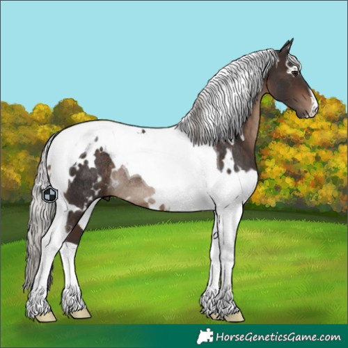Horse Color:White Spotted Silver Brown Tobiano Rabicano