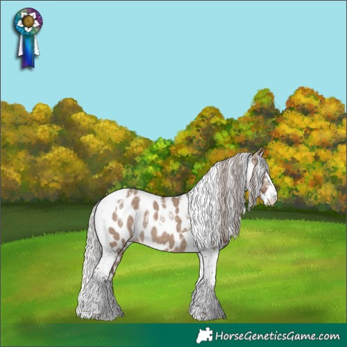 Horse Color:Powder White Chocolate Silver Brown Dun Tobiano Skewed Appaloosa
