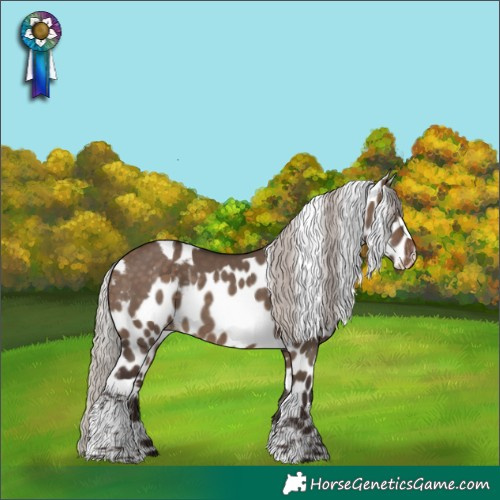 Horse Color:Silver Brown Dun Tobiano Skewed Appaloosa 