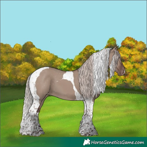 Horse Color:Chocolate Silver Grullo Tobiano Skewed Appaloosa
