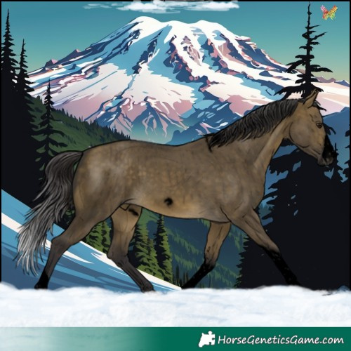 Horse Color:Void Buckskin Dun Sabino Tobiano Frame Rabicano Brindle