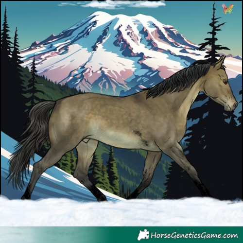 Horse Color:Void Brown Dun Sabino Tobiano Rabicano 