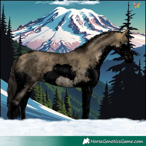 Horse Color:Void Buckskin Dun Sabino Splash Tobiano Rabicano Brindle 