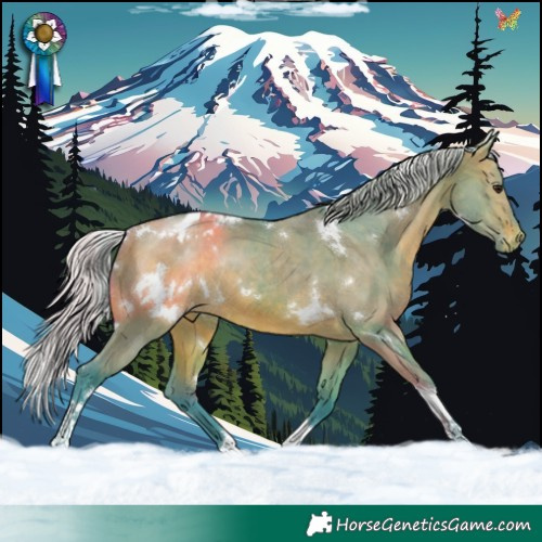 Horse Color:Watercolor White Spotted Silver Brown Dun Tobiano Appaloosa Rabicano Brindle