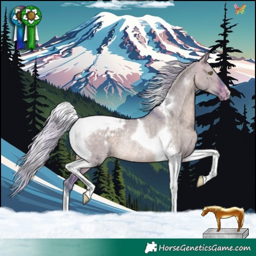 Horse Color:Watercolor Silver Brown Dun Tobiano Appaloosa Rabicano