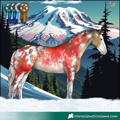 Horse Color:White Spotted Silver Buckskin Dun Splash Appaloosa Rabicano Brindle