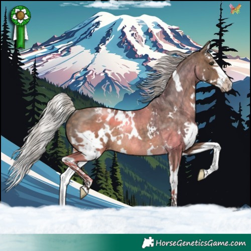 Horse Color:White Spotted Silver Brown Dun Splash Appaloosa Rabicano Brindle