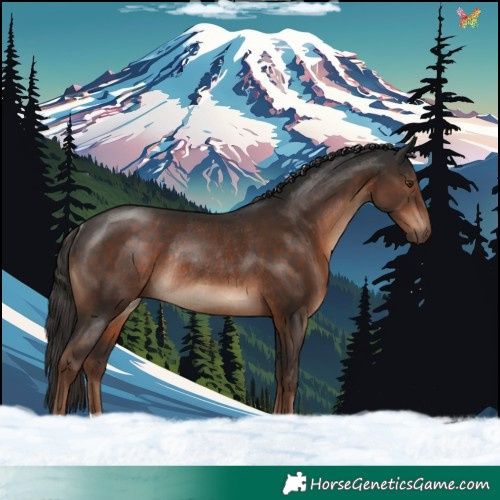 Horse Color:Liver Chestnut Rabicano