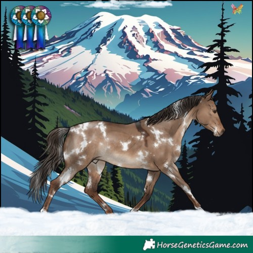 Horse Color:White Spotted Liver Red Dun Rabicano