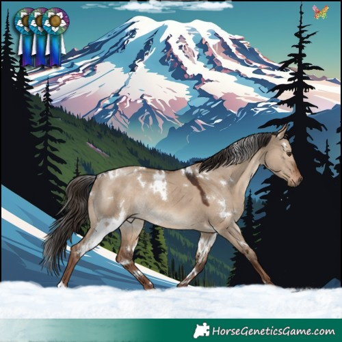 Horse Color:White Spotted Liver Red Dun Rabicano 