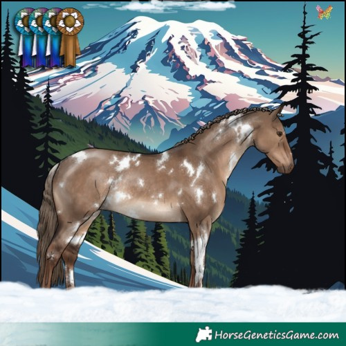 Horse Color:White Spotted Liver Red Dun Rabicano 