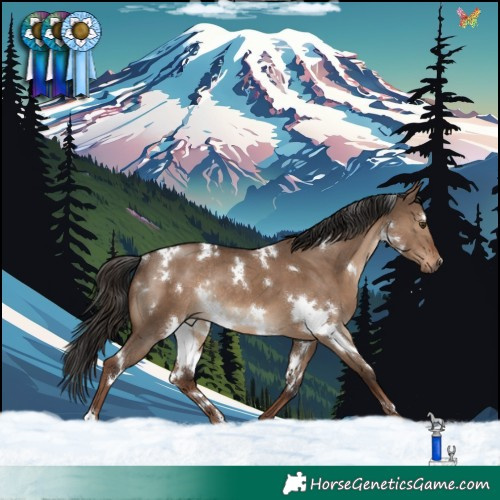 Horse Color:White Spotted Liver Red Dun Rabicano